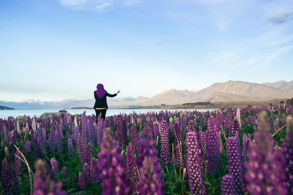 Jardin musical : comment créer une symphonie de fleurs ?