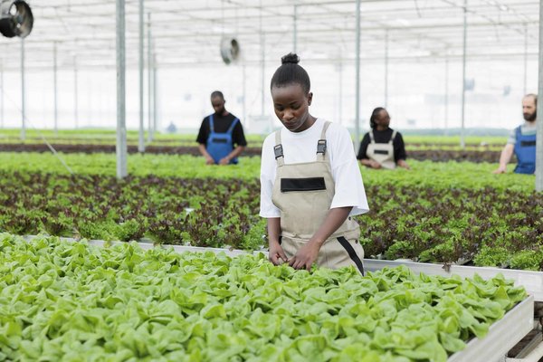 Quelle est la méthode la plus efficace pour se débarrasser des acariens dans la literie ?