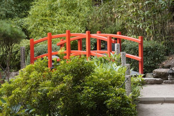 Déménagement et adaptation à une nouvelle culture : conseils pour une transition en douceur