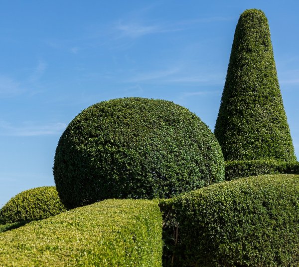 Comment intégrer un système de sonorisation dans votre jardin pour les fêtes en plein air ?